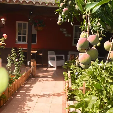 Holiday House Tia Lila San Sebastian De La Gomera Exterior photo
